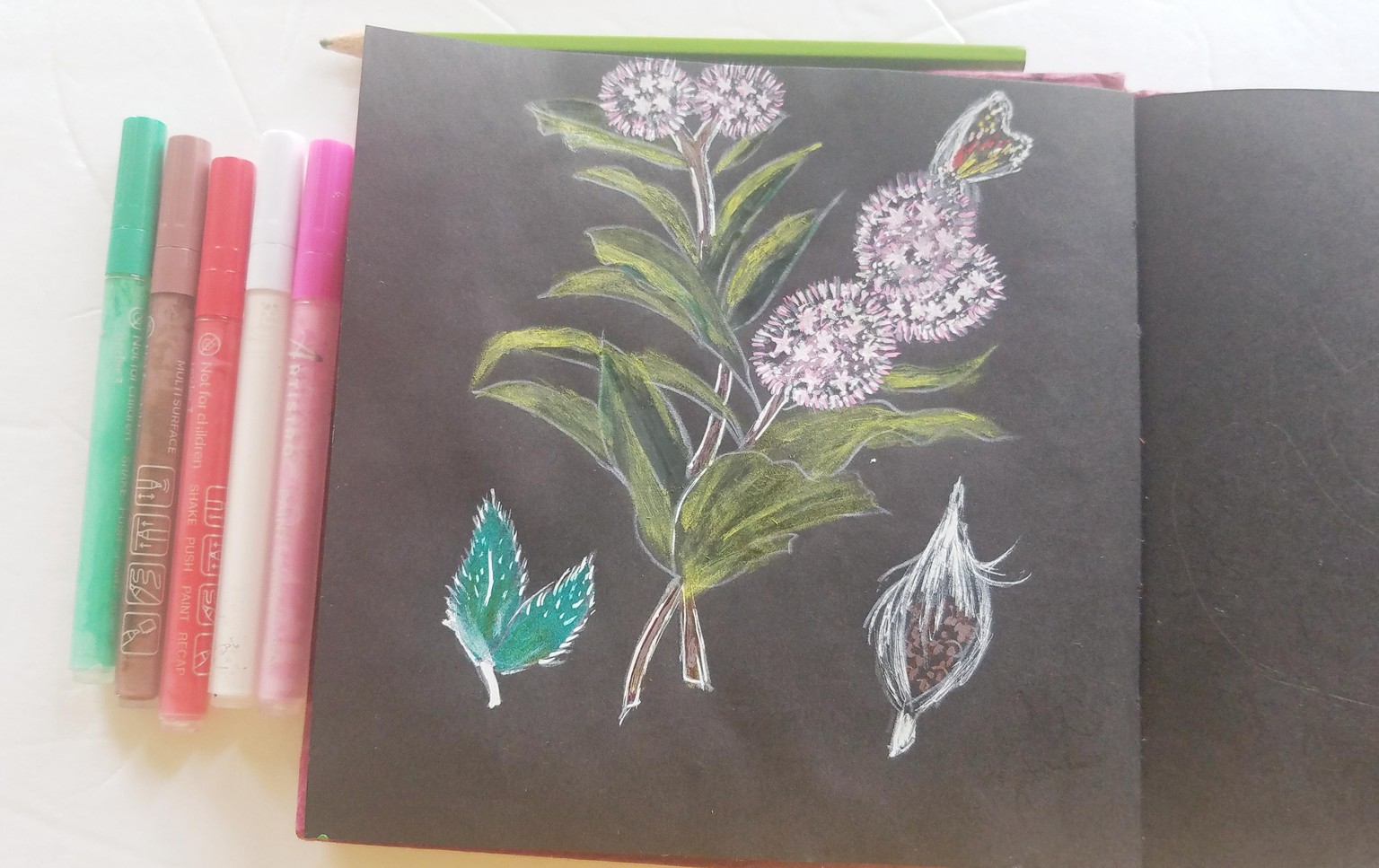 Paint with Me: Weeds and Wildflowers - image 1 - student project