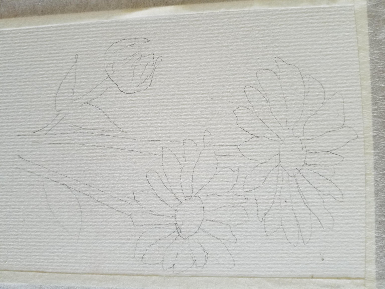 Watercolor Botanical Painting - image 2 - student project