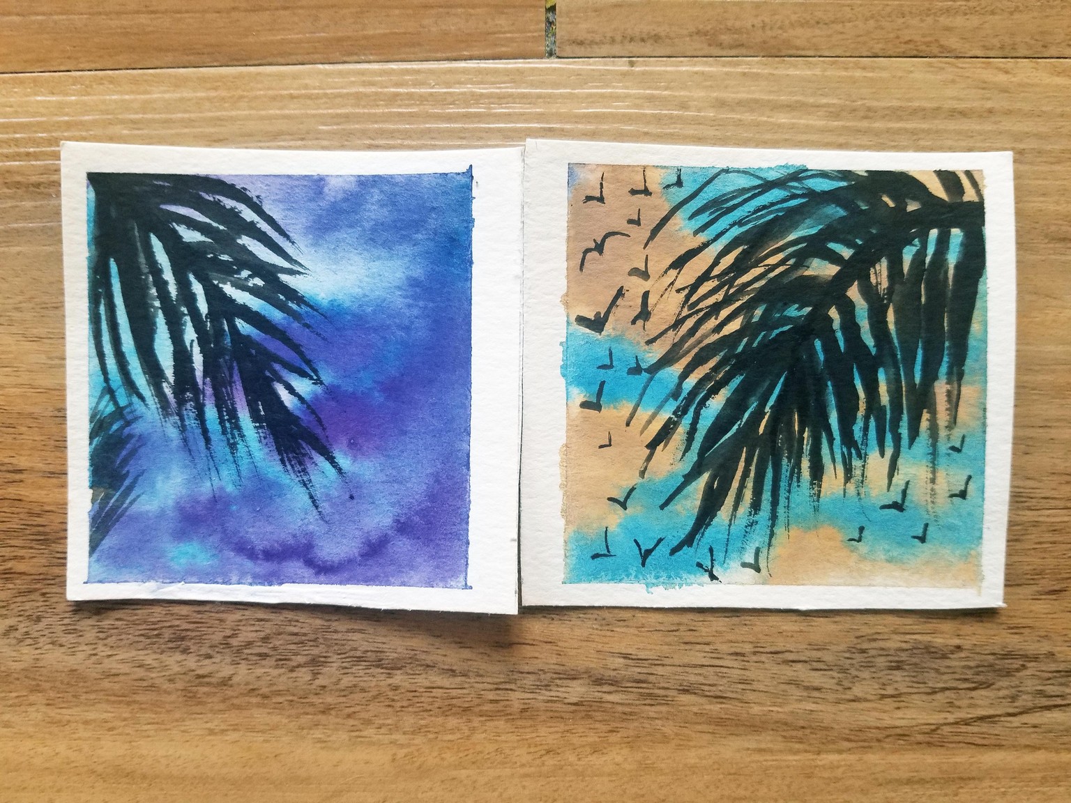 Cocanut leaves and skies - image 4 - student project