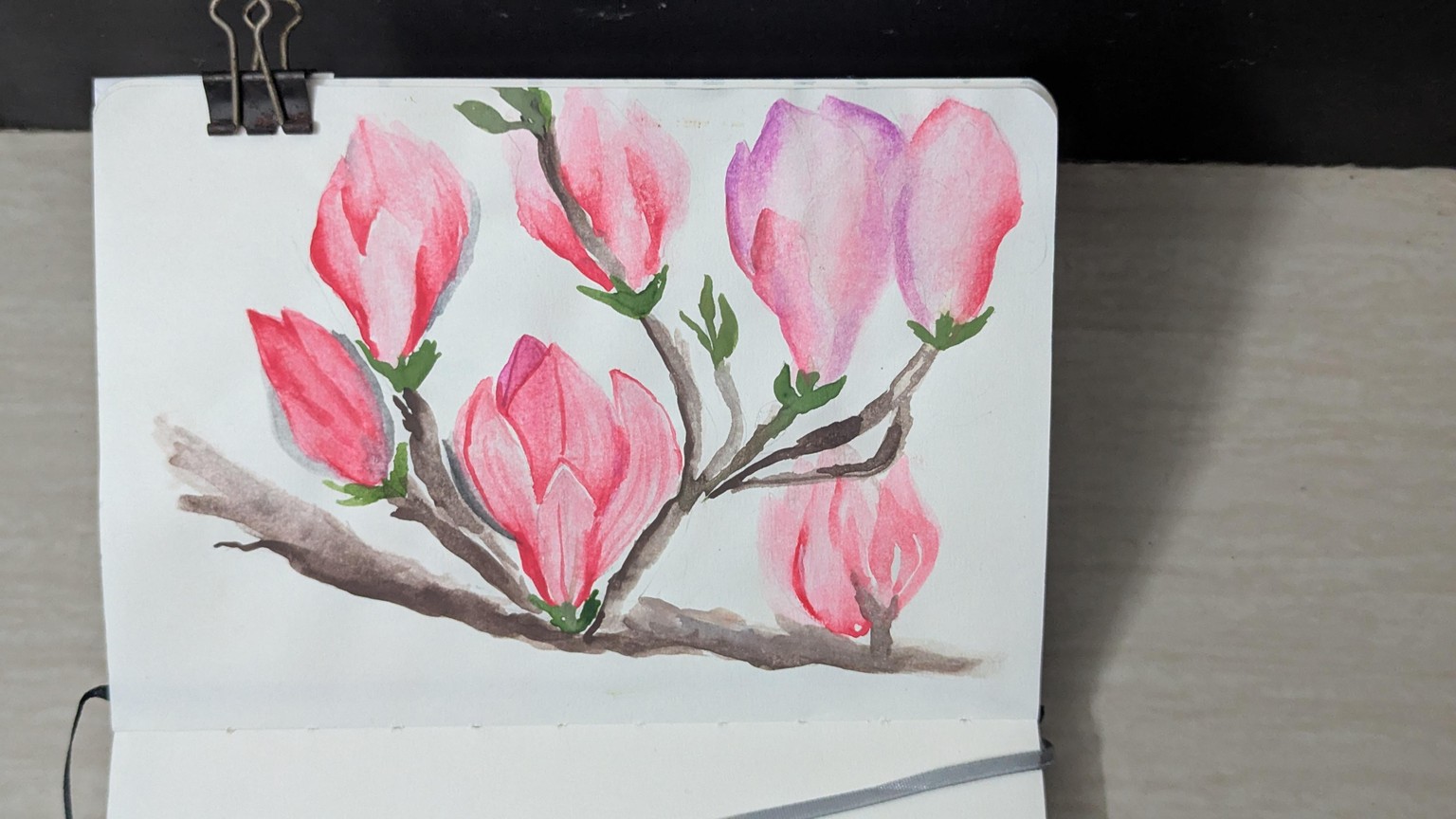 Watercolour Magnolias: Learn Soft Blending, Lifting, and Dry Brush Techniques - image 2 - student project