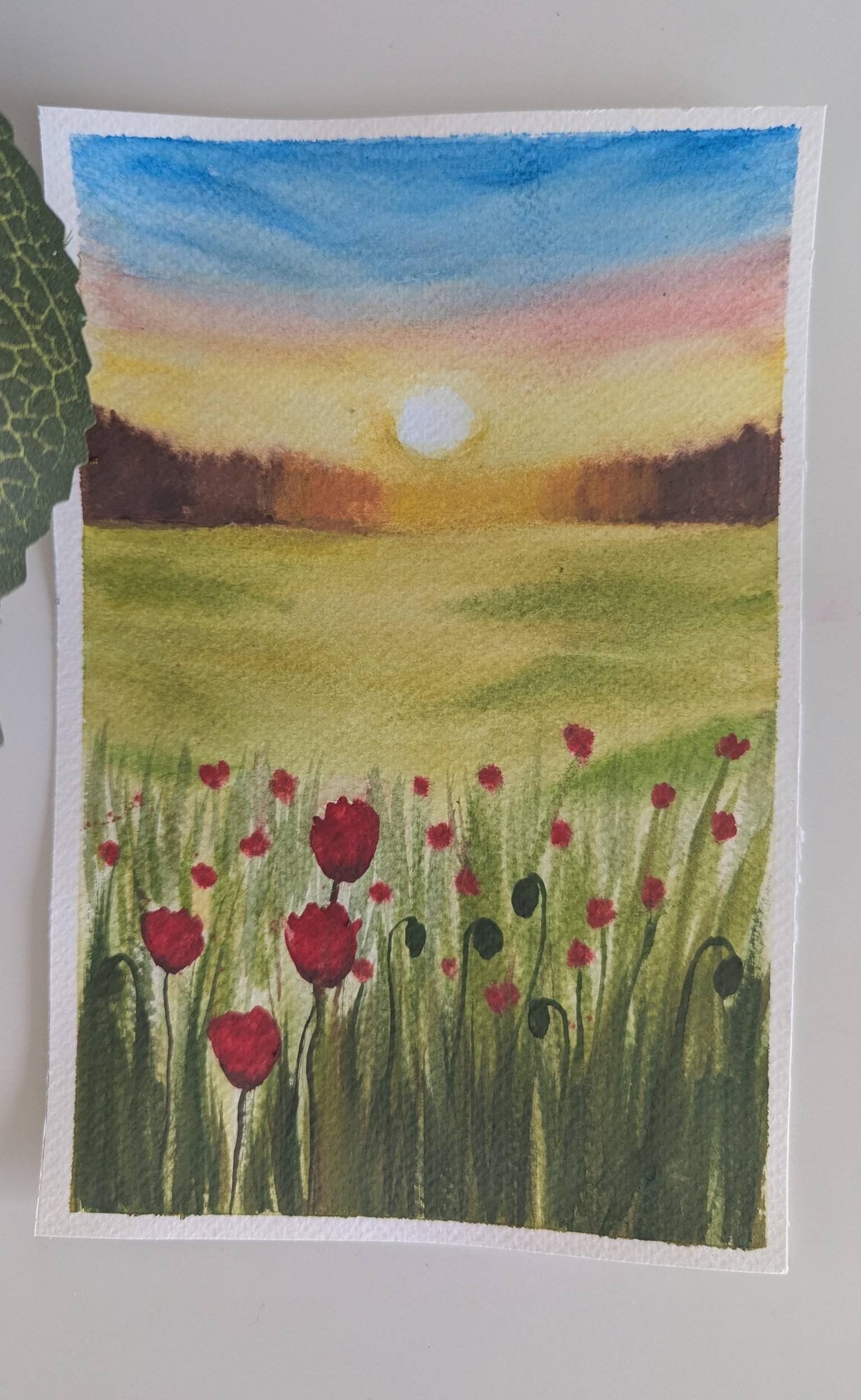 Let's paint a beautiful Spring Poppy Meadow using watercolours - image 2 - student project