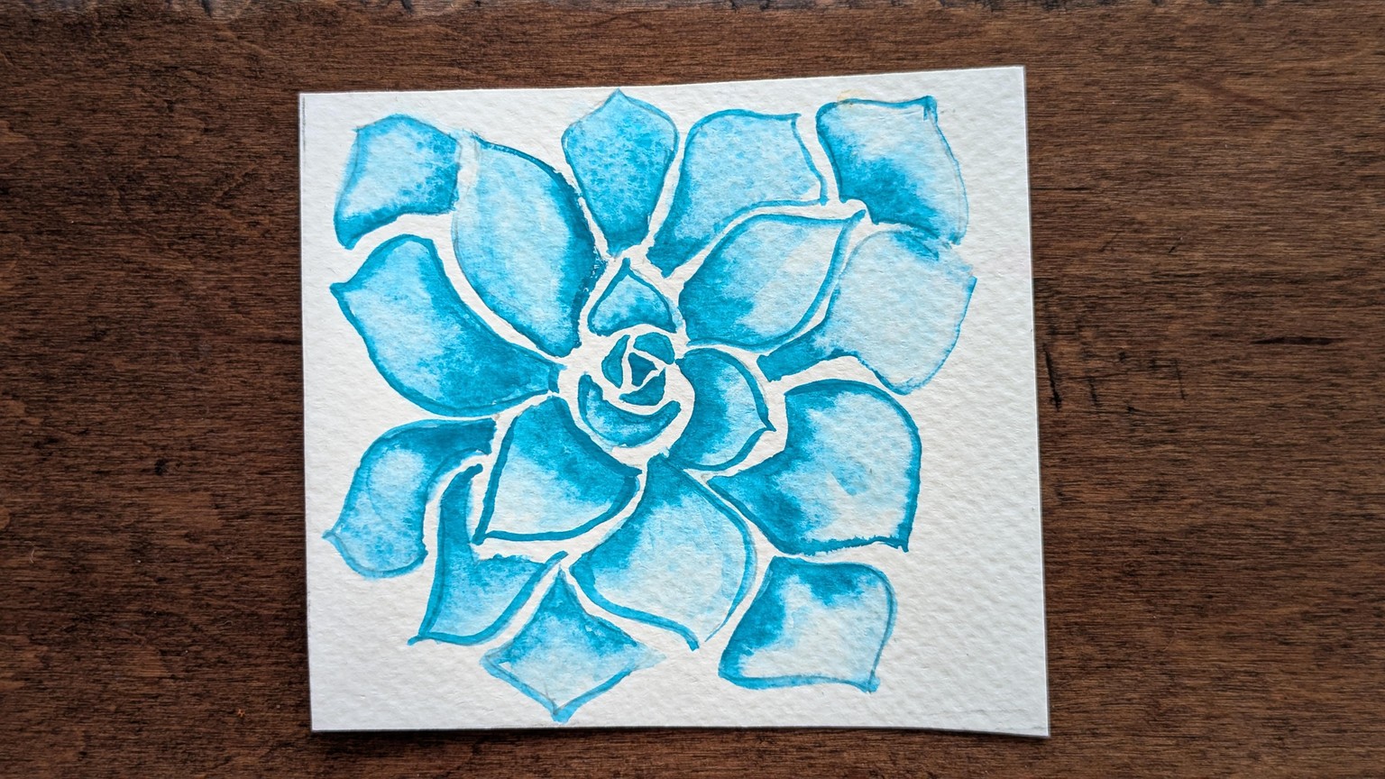 Fun and Simple Watercolor Succulents - image 1 - student project