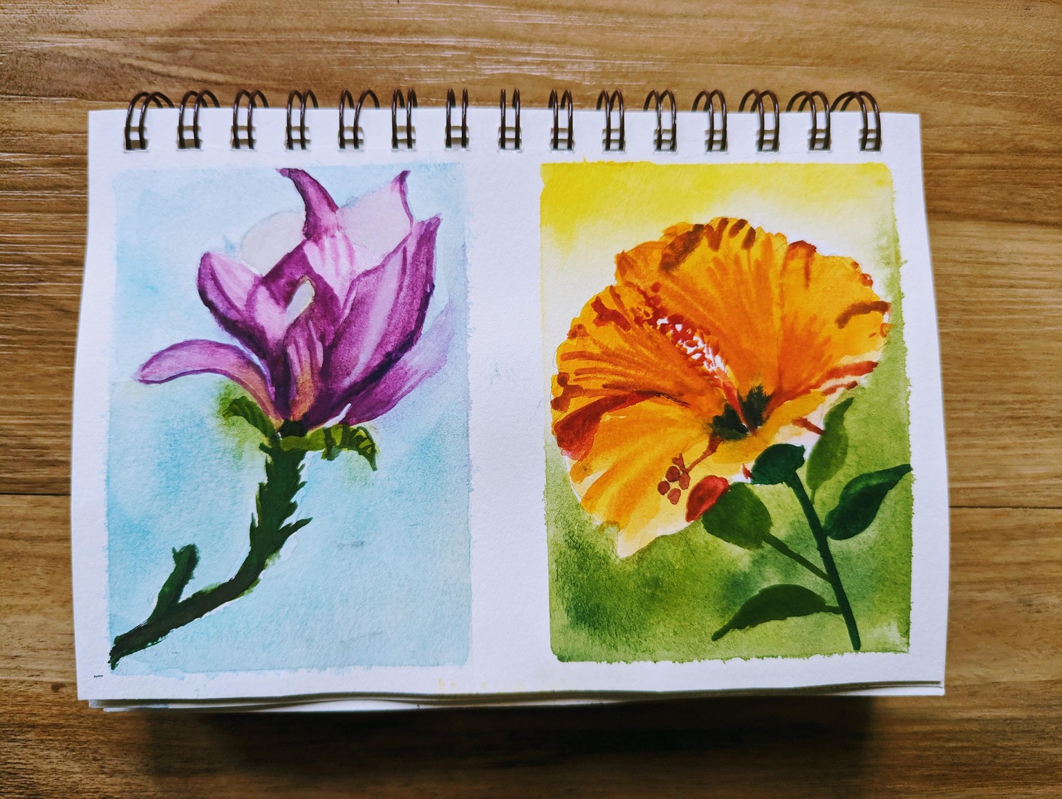 FloralScapes: Capturing the Essence & Beauty of Flowers with Watercolors - image 4 - student project