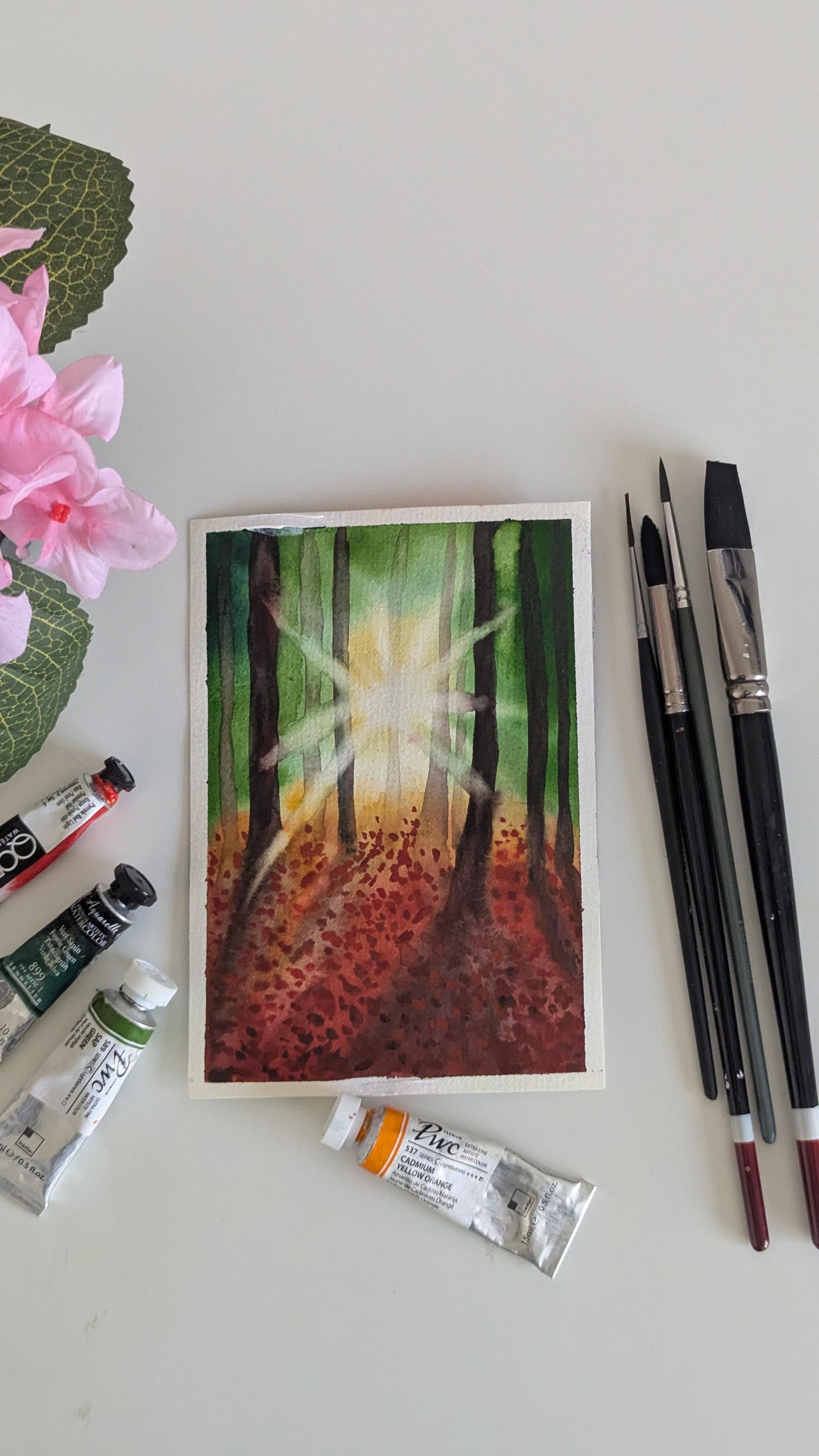 Autumn Light In the Woods - image 2 - student project