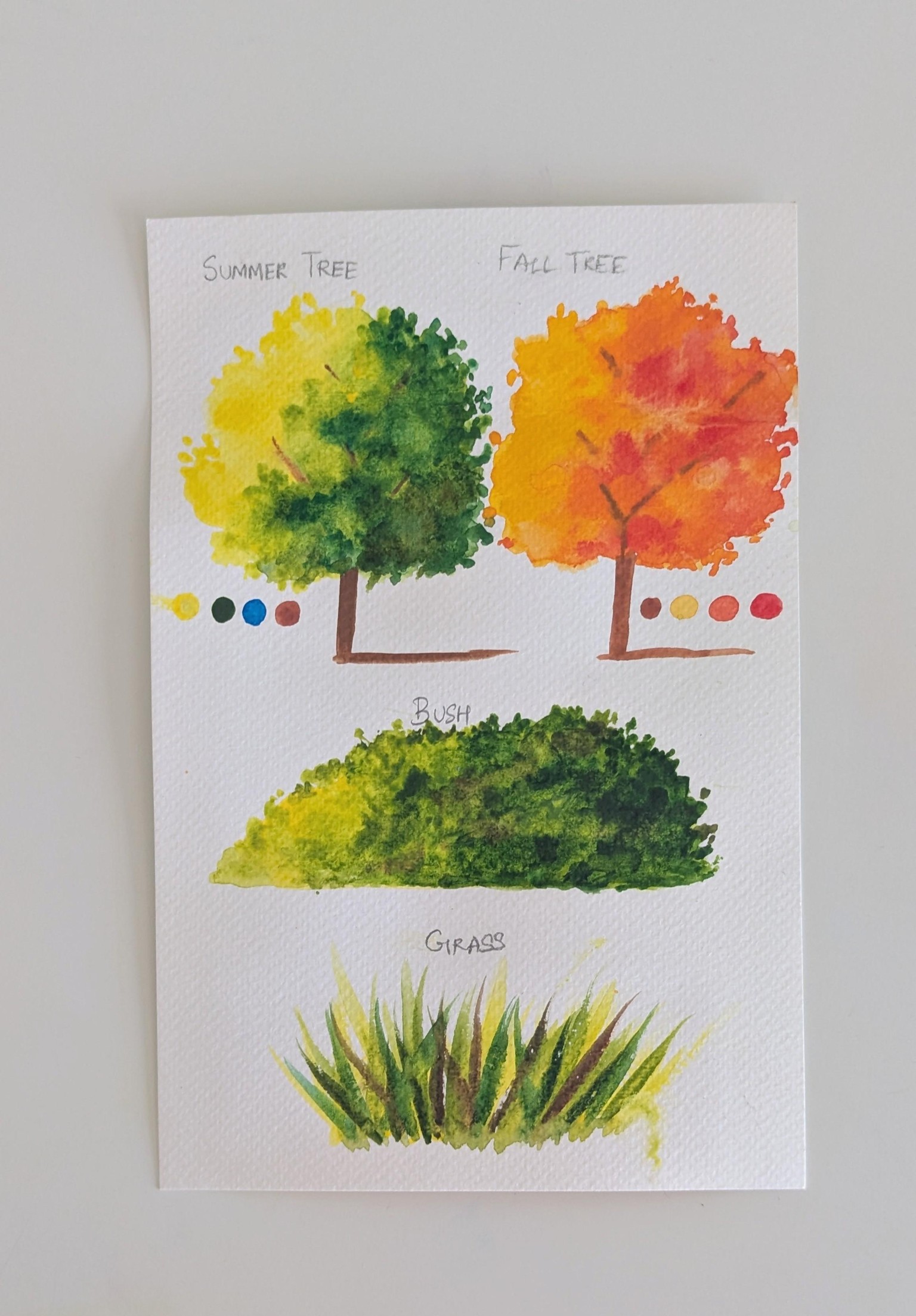 Watercolour Landscapes Made Easy: Master the 6 Essential Elements - image 1 - student project