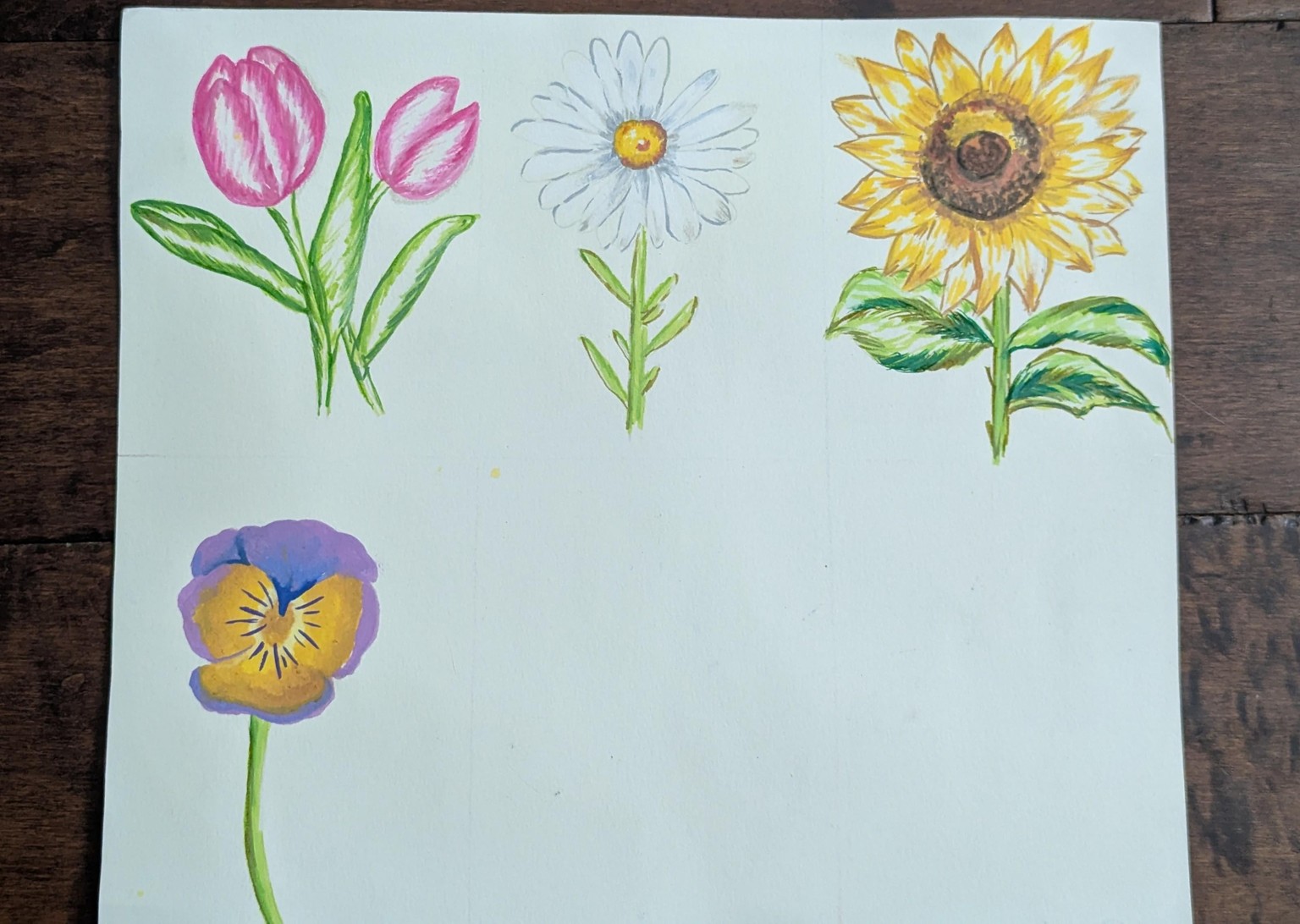 Learn to Color Florals Using Alcohol Markers: A Step-by-Step Guide - image 1 - student project
