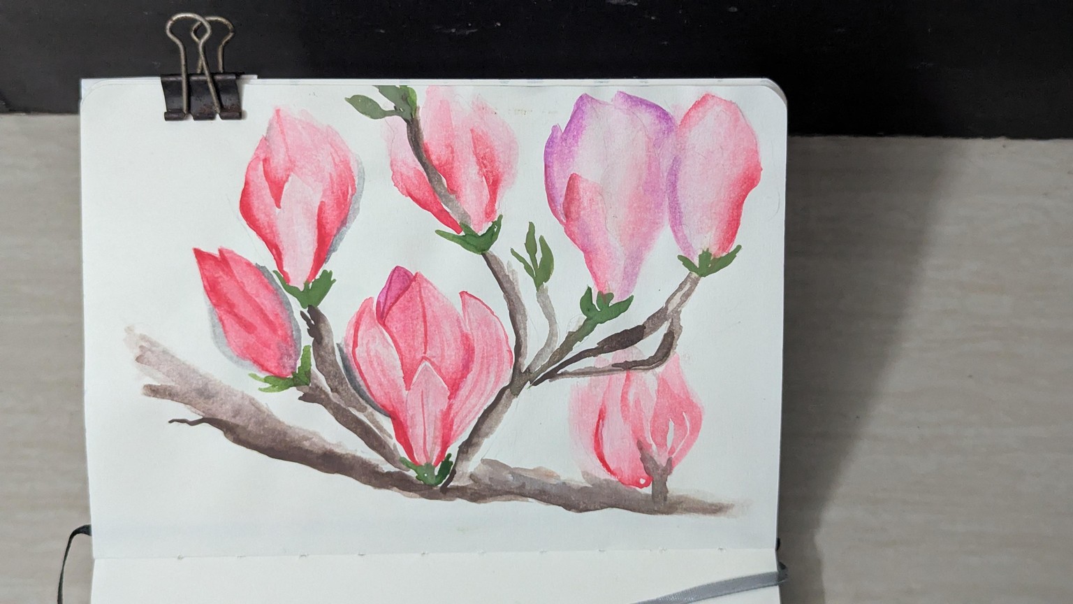 Watercolour Magnolias: Learn Soft Blending, Lifting, and Dry Brush Techniques - image 1 - student project