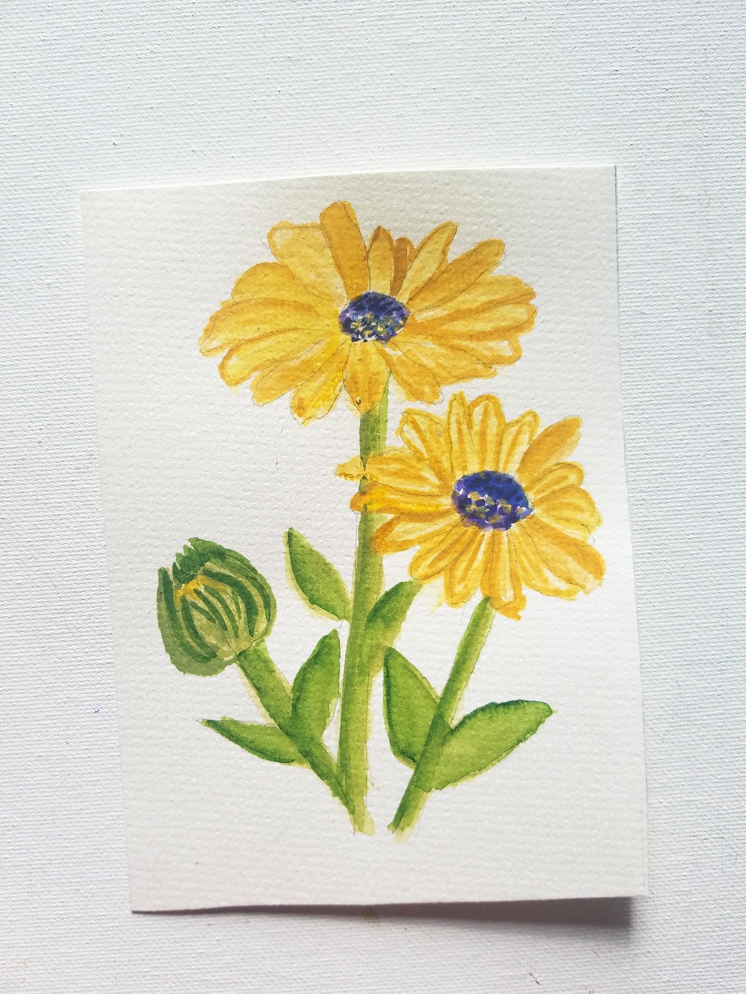 Watercolor Botanical Painting - image 1 - student project