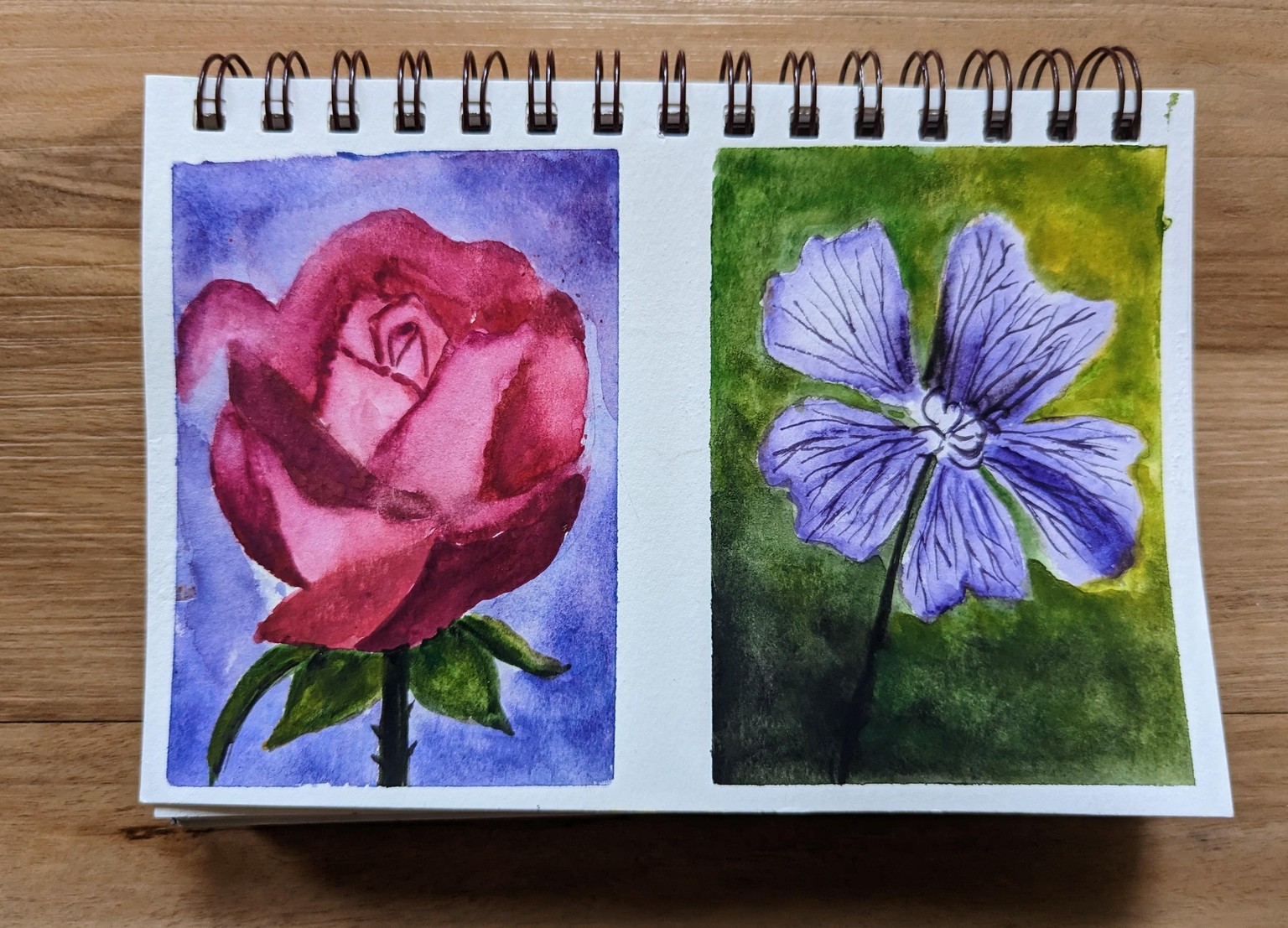 FloralScapes: Capturing the Essence & Beauty of Flowers with Watercolors - image 5 - student project