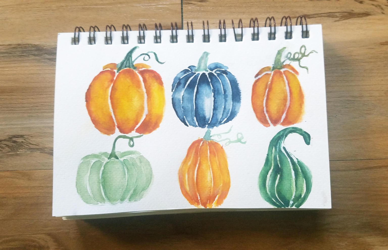 Learn to Paint Realistic Watercolor Pumpkins & Gourds - image 2 - student project