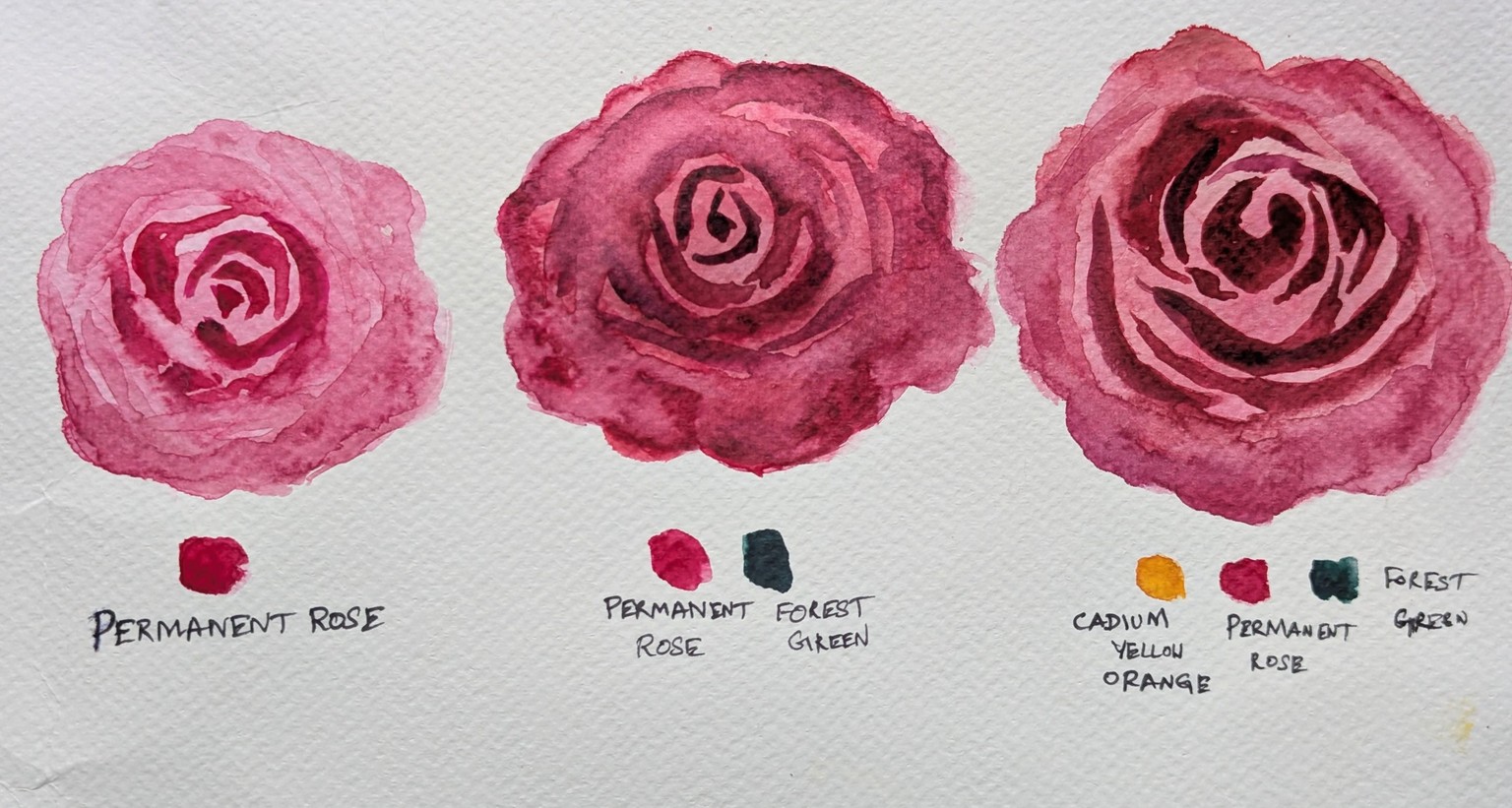 Painting Lifelike Watercolor Roses: Easy Techniques to Add Volume - image 1 - student project