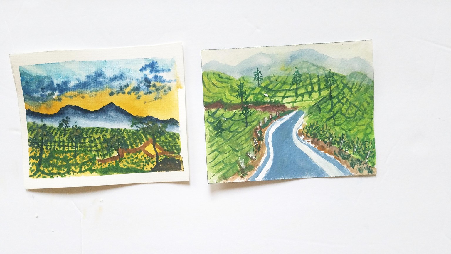 Learn to Paint Tea Gardens With Watercolors - image 1 - student project