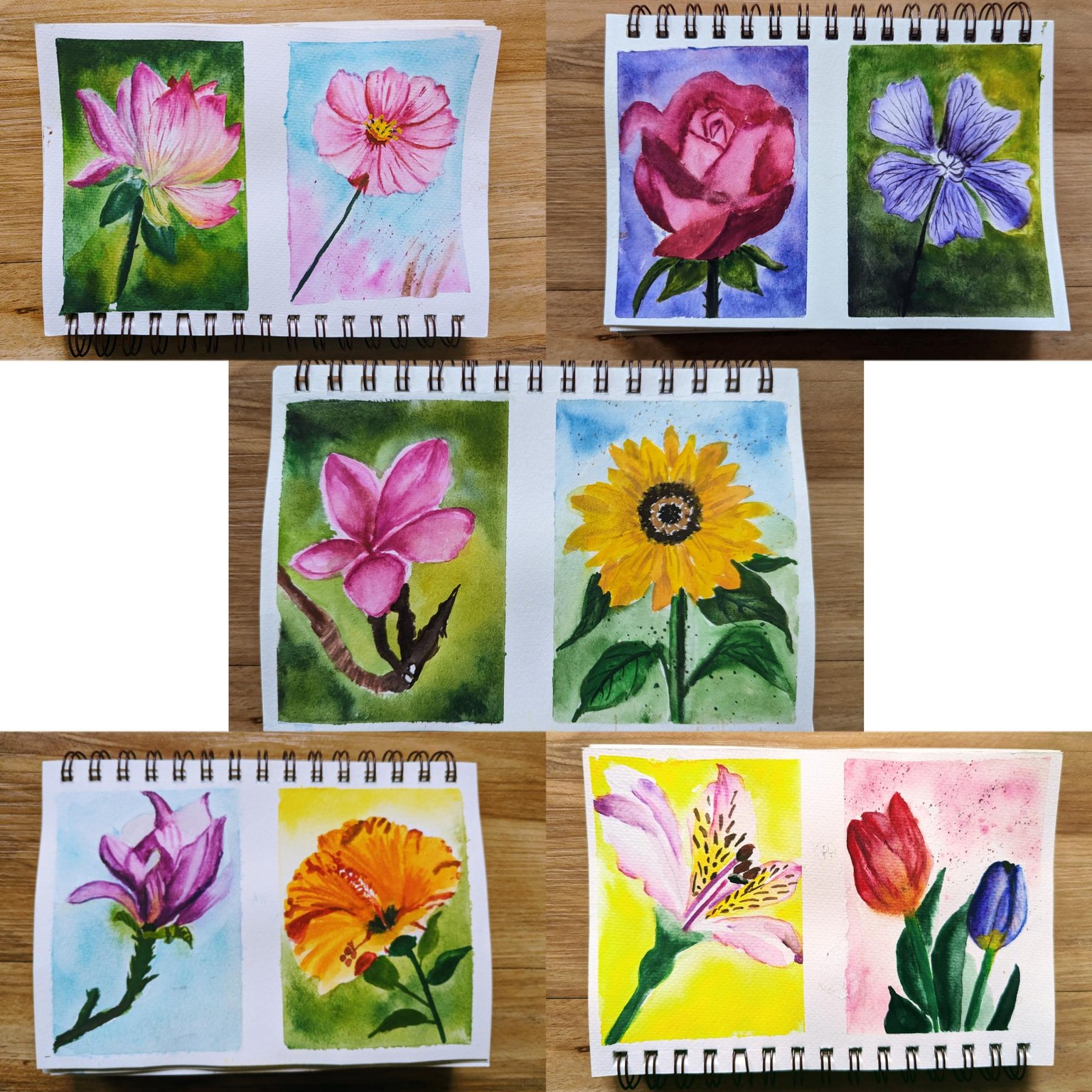 FloralScapes: Capturing the Essence & Beauty of Flowers with Watercolors - image 1 - student project