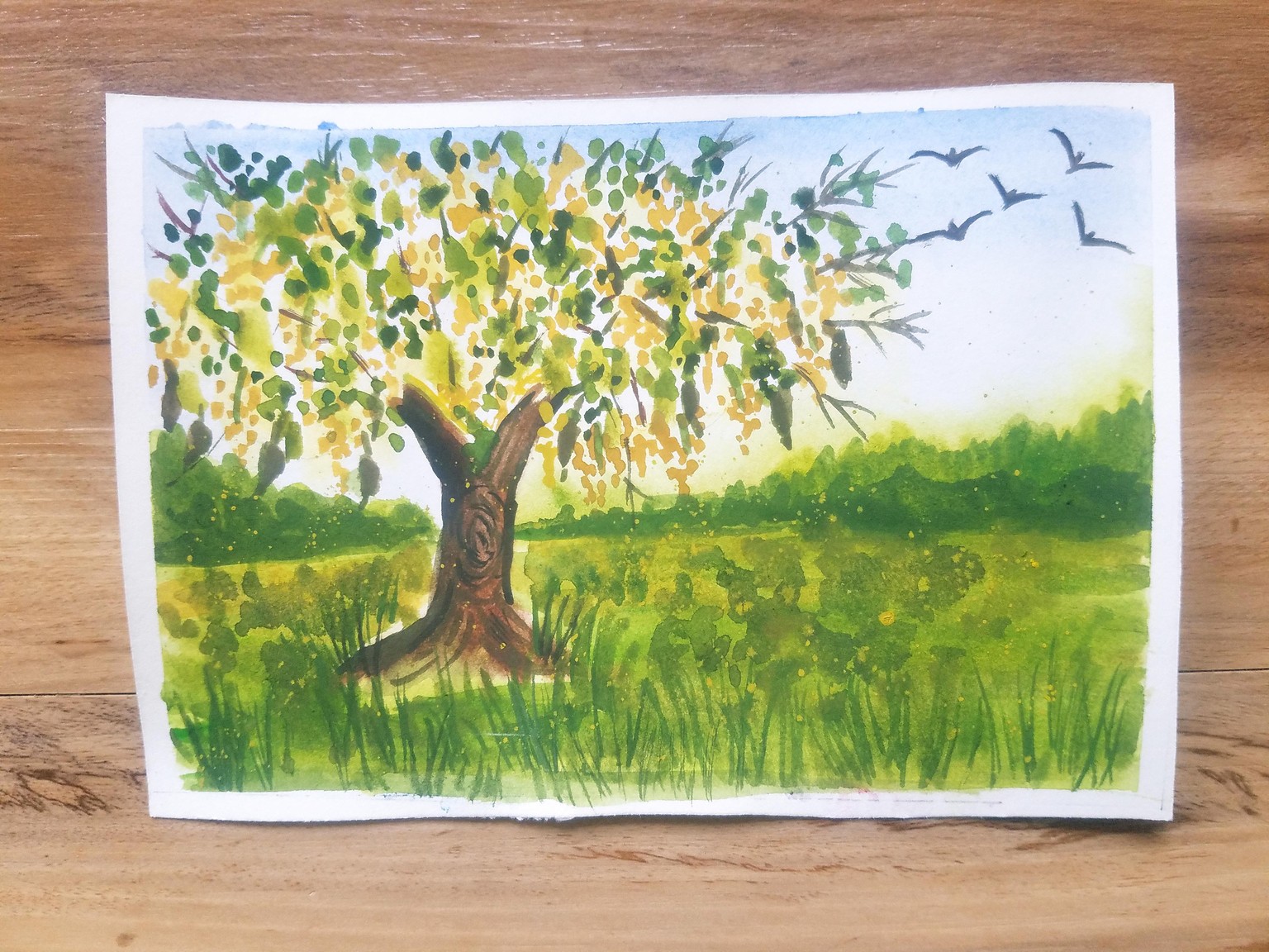 Watercolor Golden Shower - Laburnum tree, Amaltas, Cassia Fistula, Golden Chain - image 1 - student project