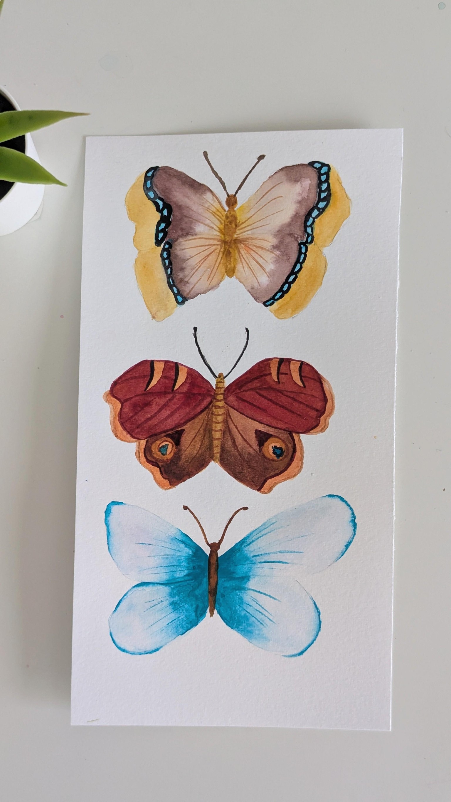 Explore Watercolor Techniques: Paint 3 Butterfly Illustrations - image 1 - student project