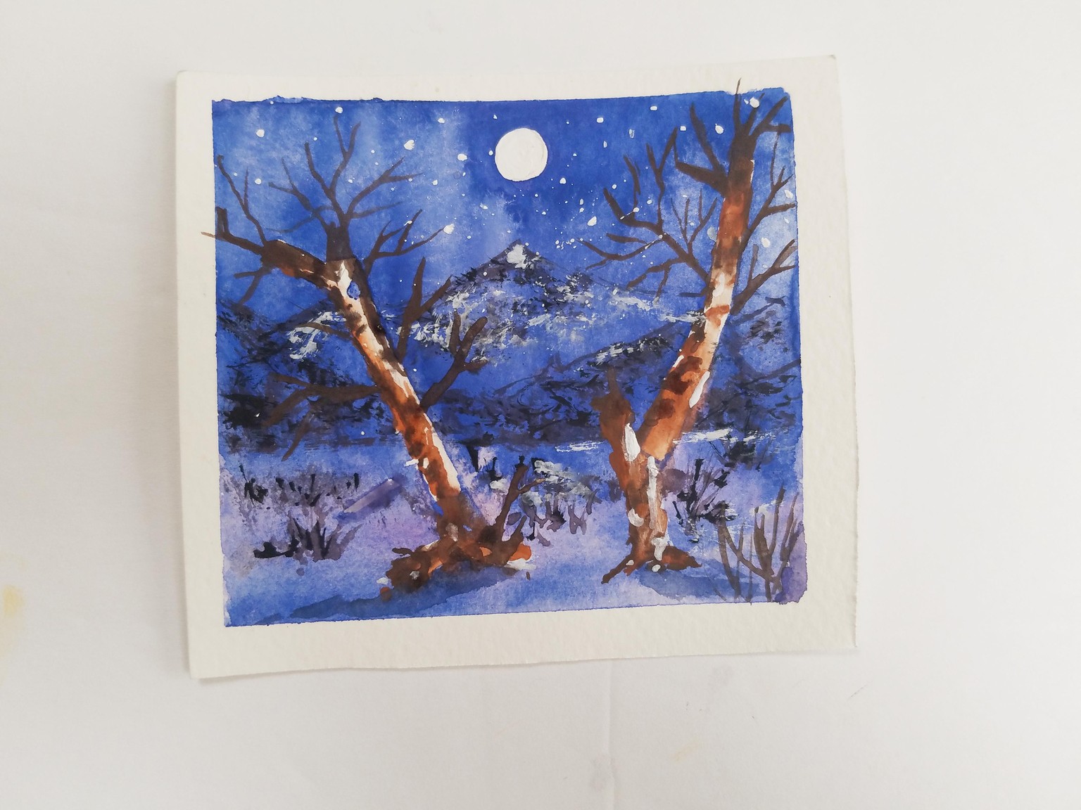 Winter Inspired Holiday Cards for 28 Days - image 1 - student project
