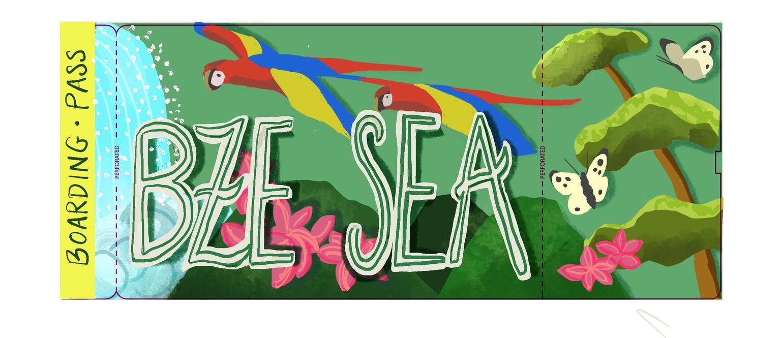 Belize Seattle ticket - image 1 - student project