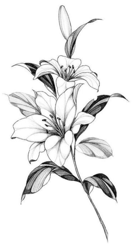 Flower - image 1 - student project