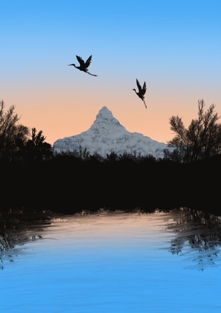 Paisagens - image 4 - student project