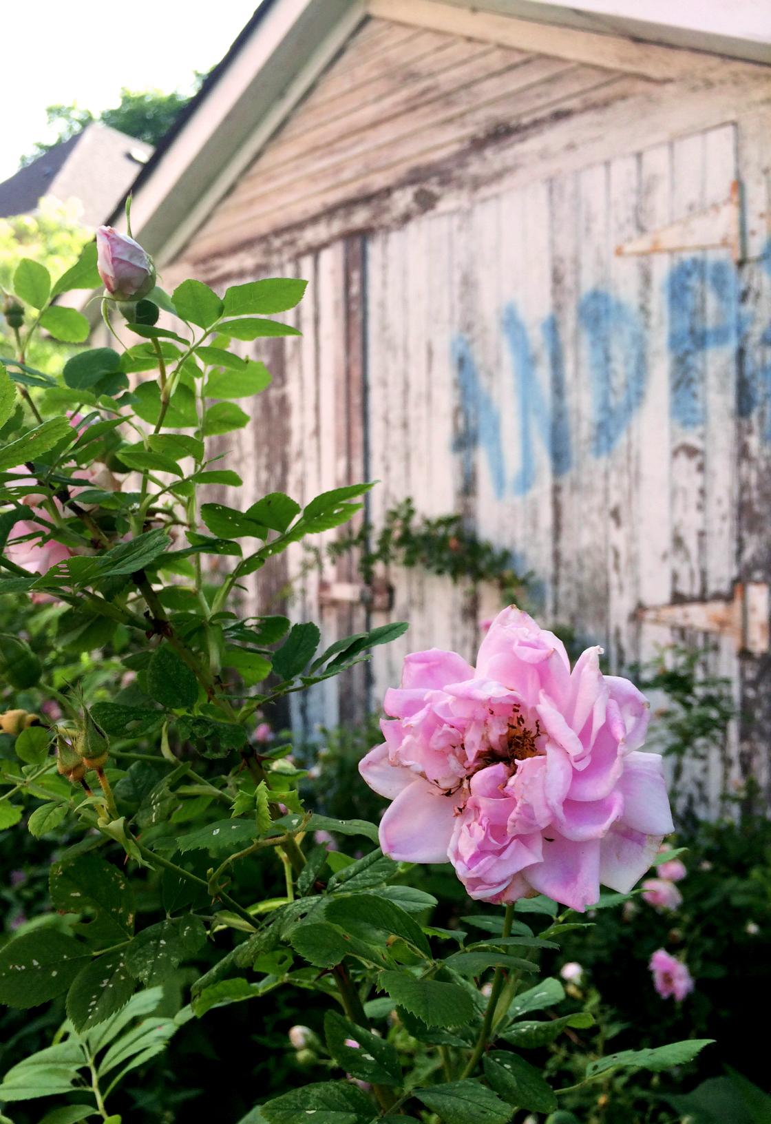 My Urban Wanderings - image 2 - student project