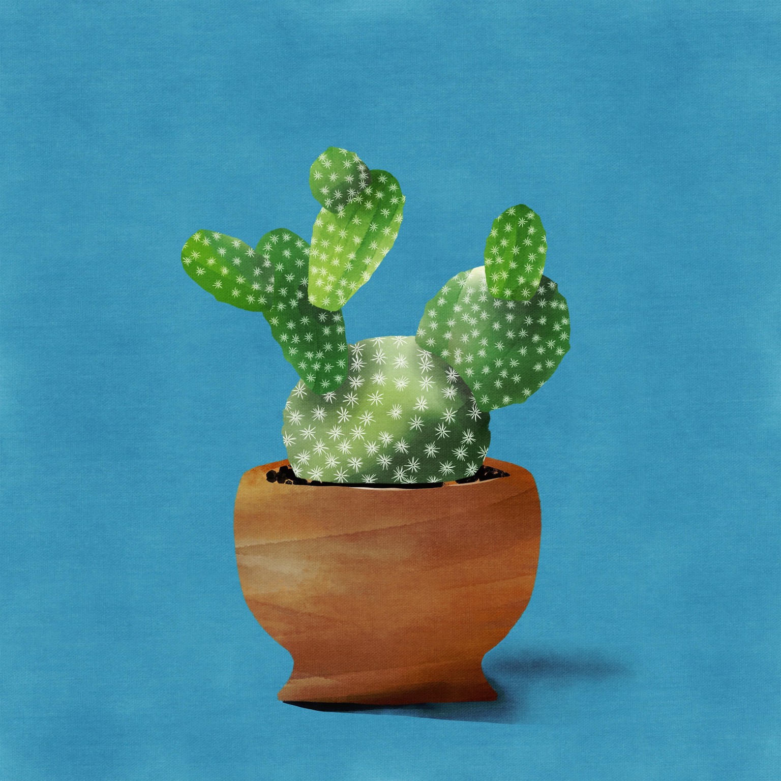 Cactus - image 2 - student project