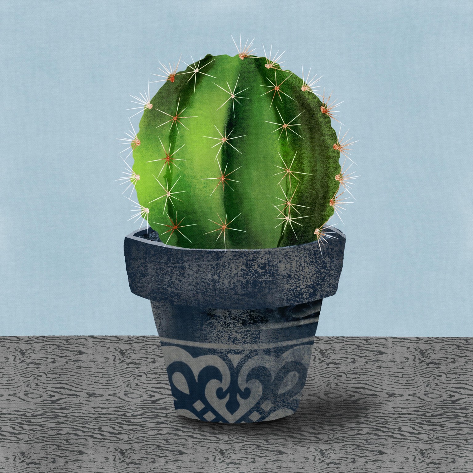 Cactus - image 1 - student project