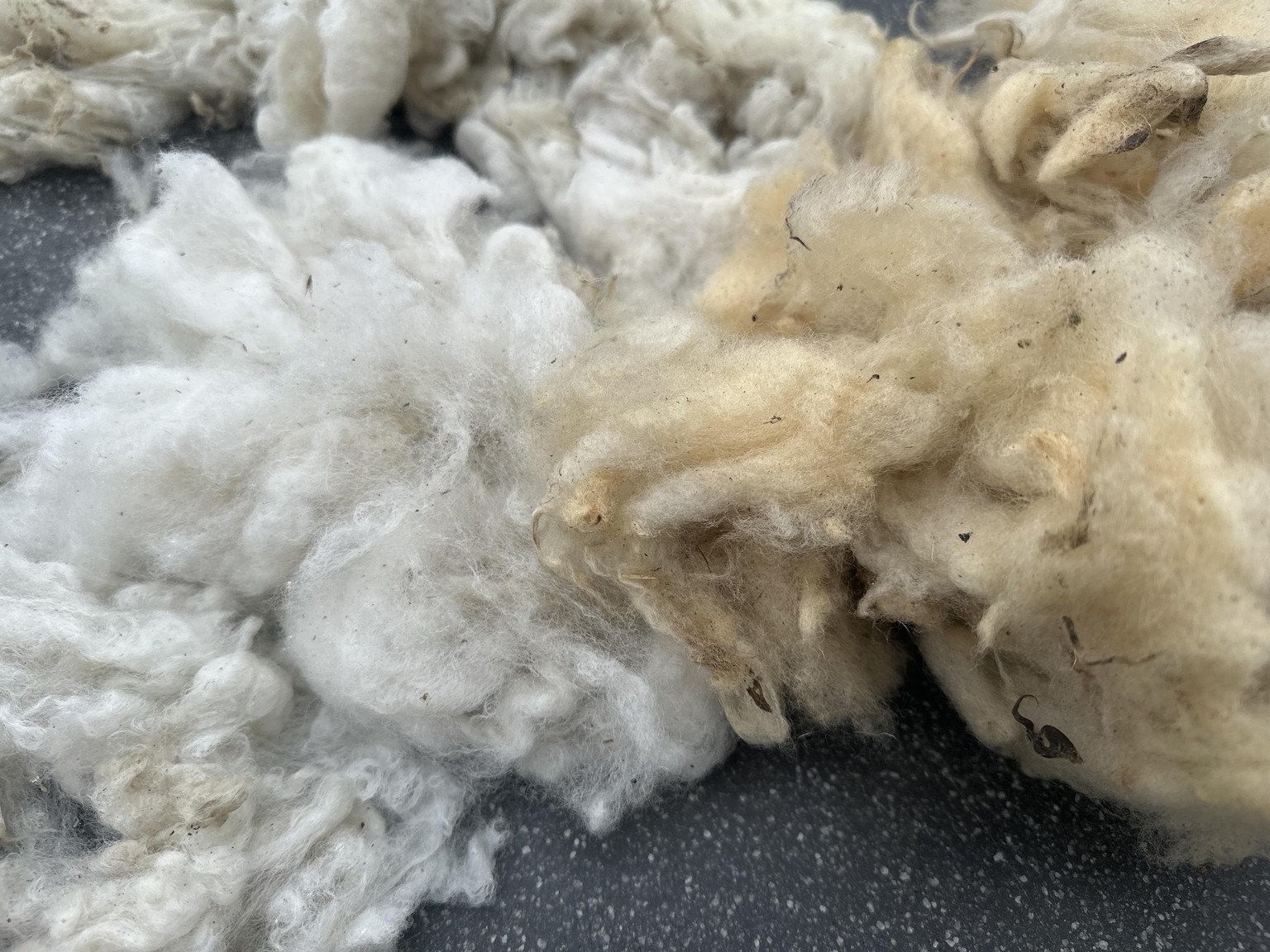 Washing makes yellow turn white! - image 5 - student project