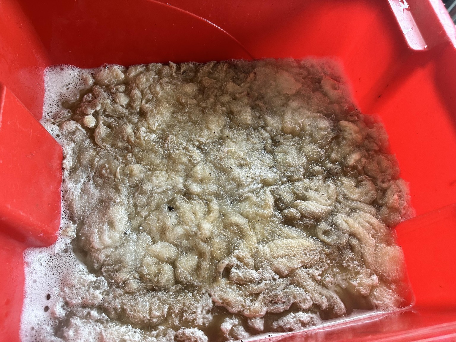 Washing makes yellow turn white! - image 3 - student project