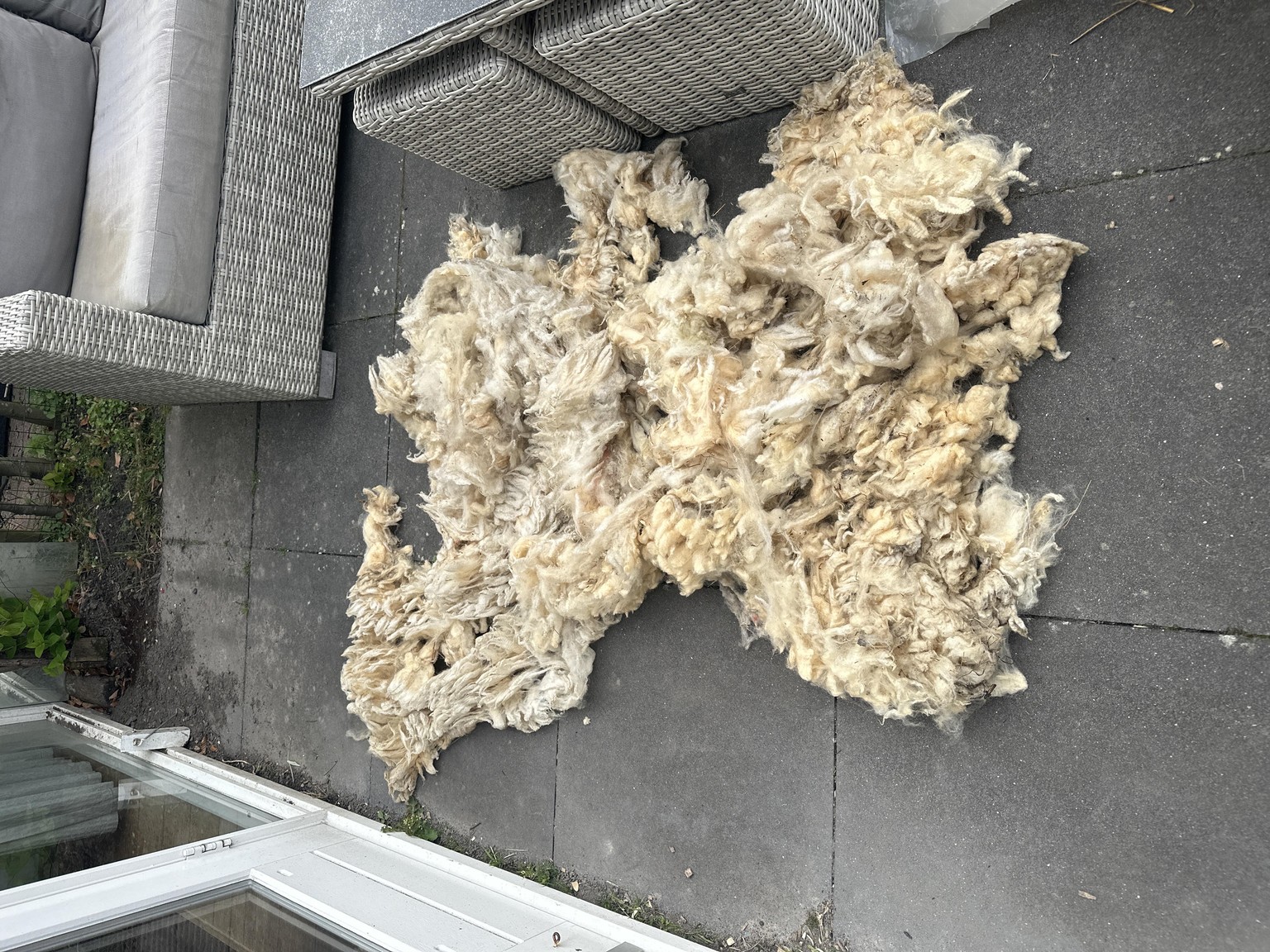 Washing makes yellow turn white! - image 1 - student project