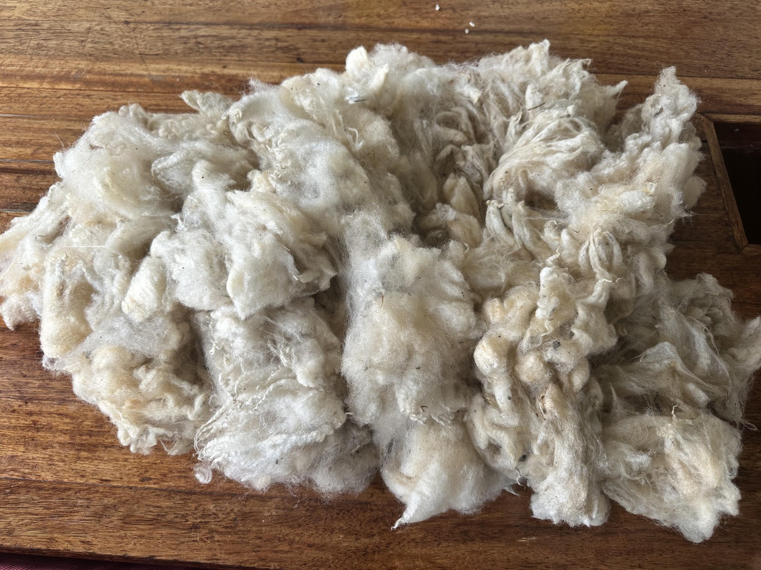 Washing makes yellow turn white! - image 2 - student project