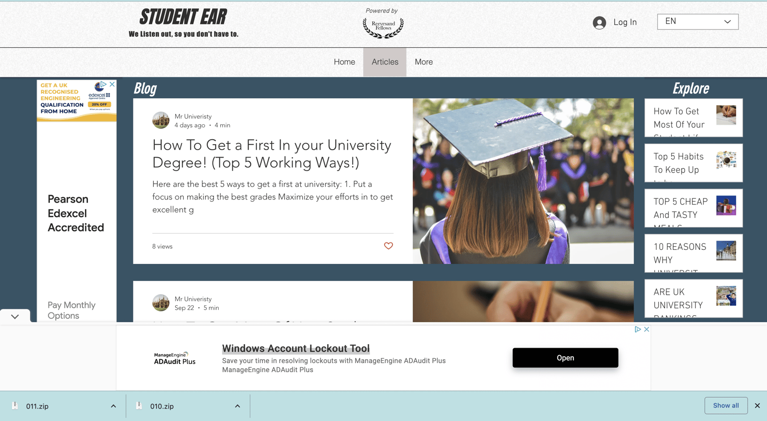 Branded Blog Website Example - image 1 - student project