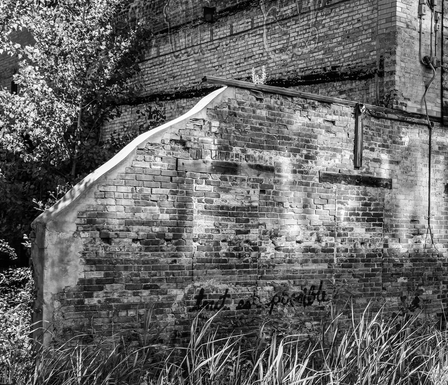 B&W Photos - image 2 - student project