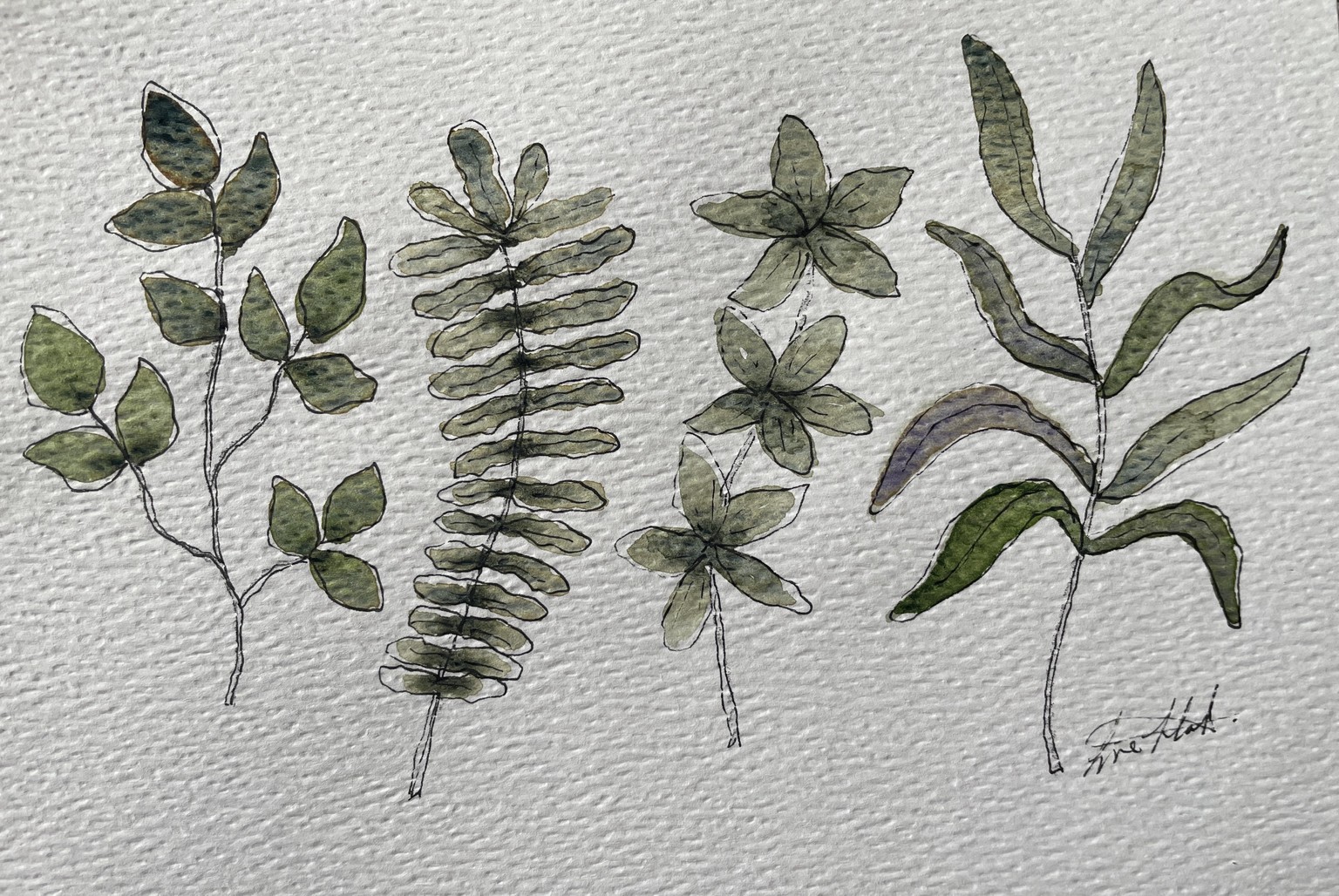 Foliage study - image 1 - student project