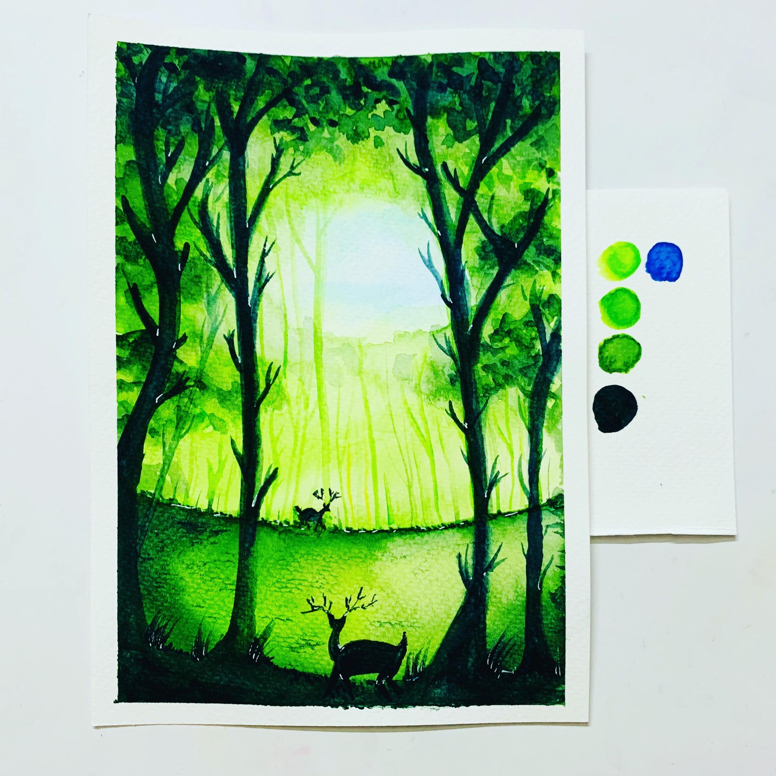 Woodlands from Panchami's class <3 - image 3 - student project