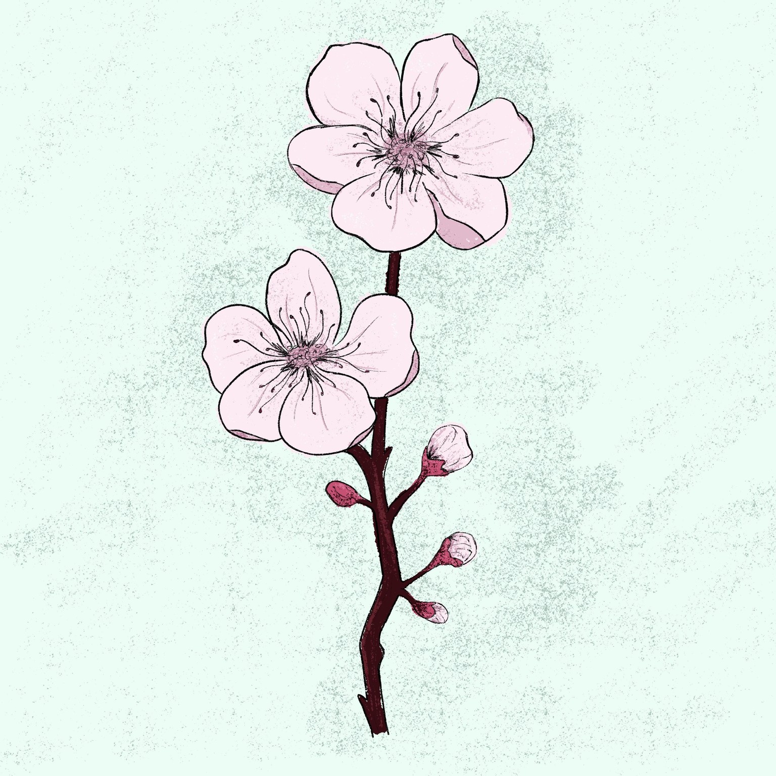 Bloom Flower - First Procreate Project - image 1 - student project
