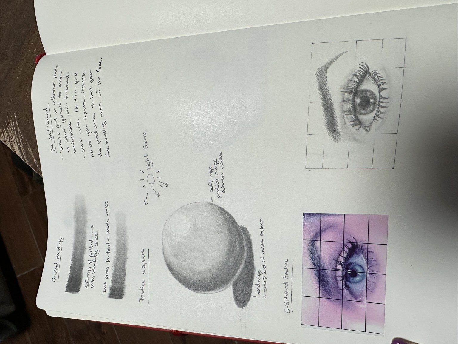 Class notes and final portrait - image 1 - student project