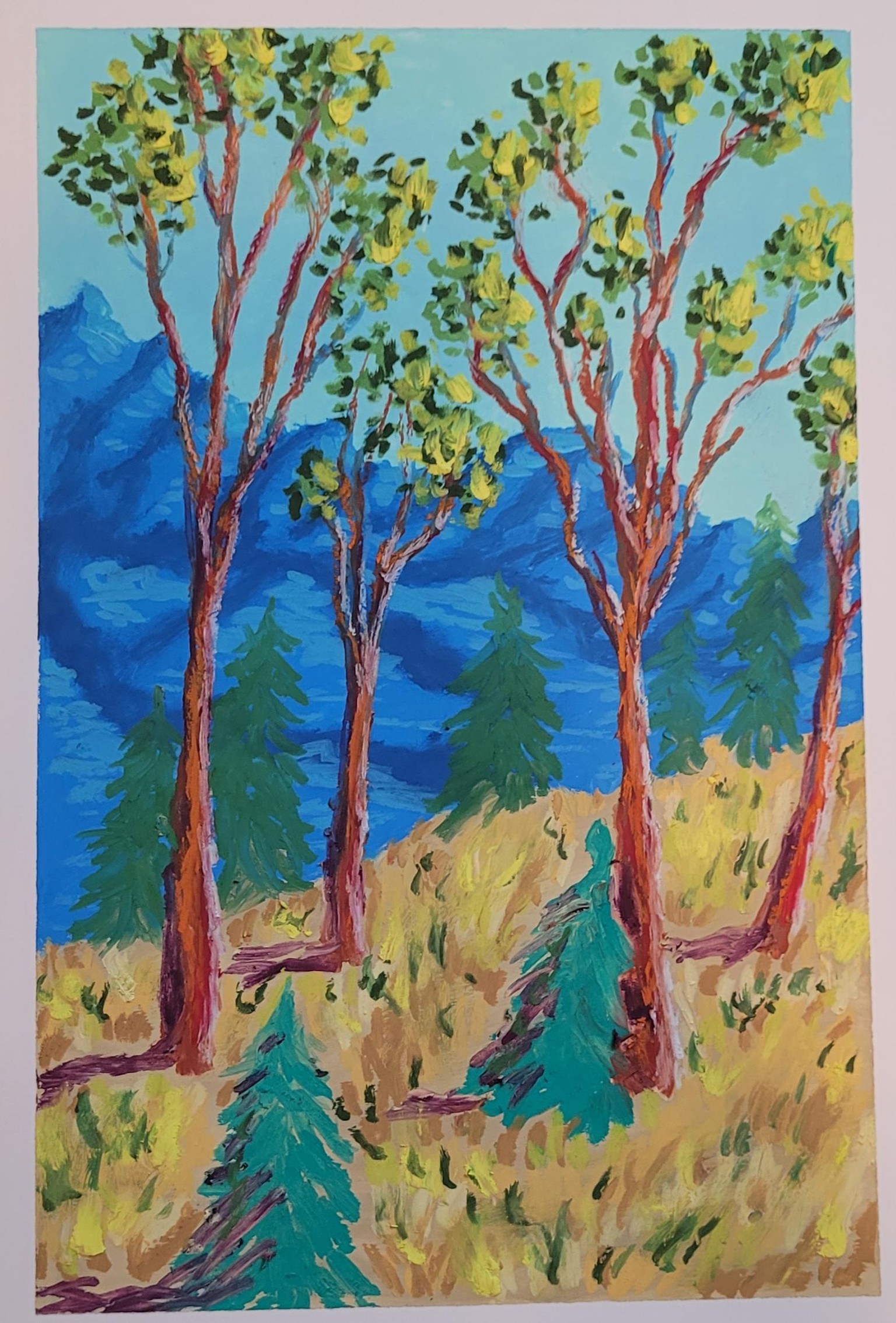Fun Mountain - image 1 - student project