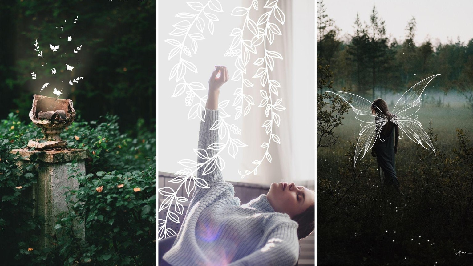 A Collection of Illustrated Photos - image 2 - student project