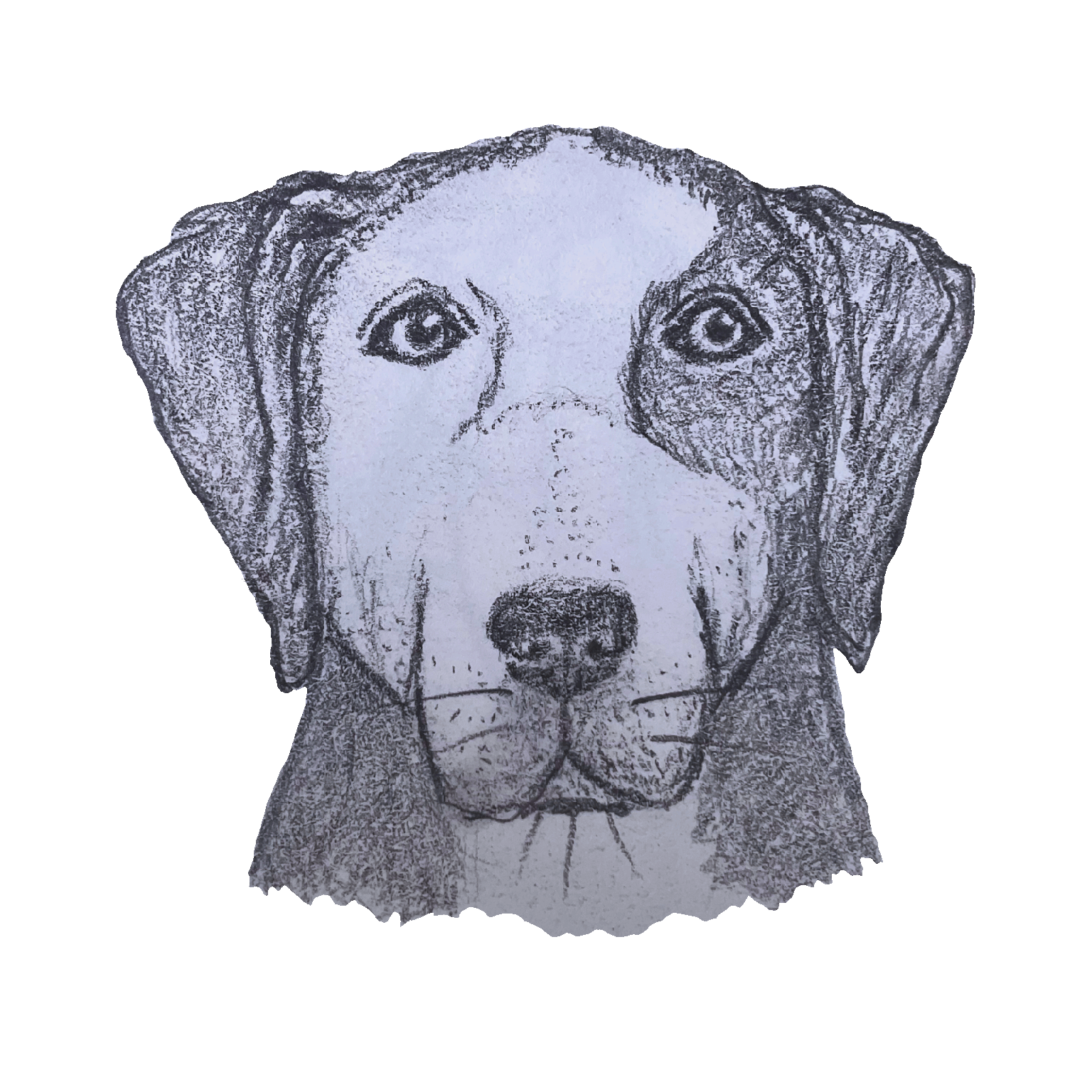 This was so much fun! - image 1 - student project