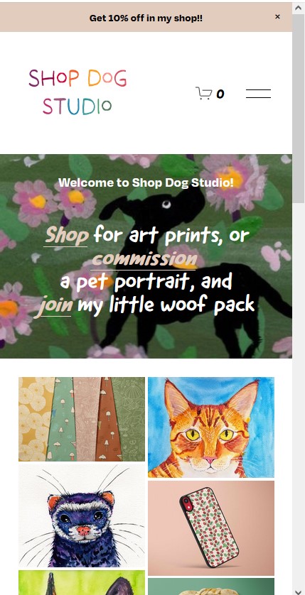 tweaking my website - image 2 - student project