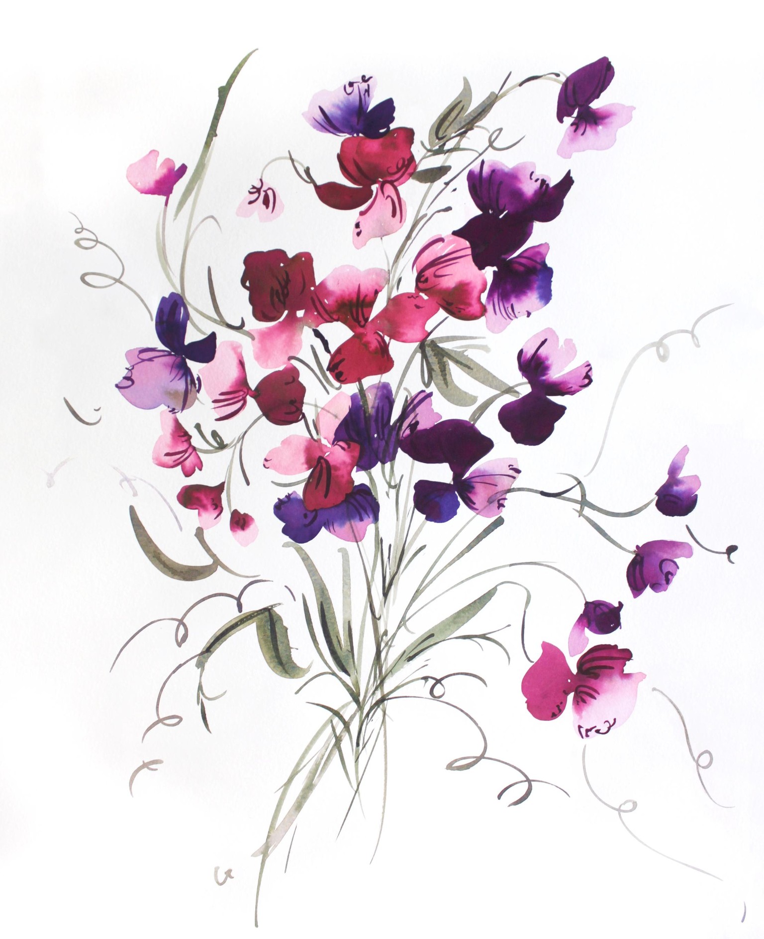 Sweet Pea - image 3 - student project