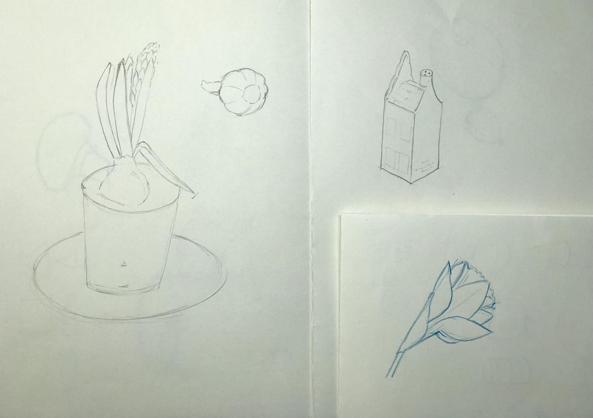 Sketching nature exercises + demos - image 7 - student project