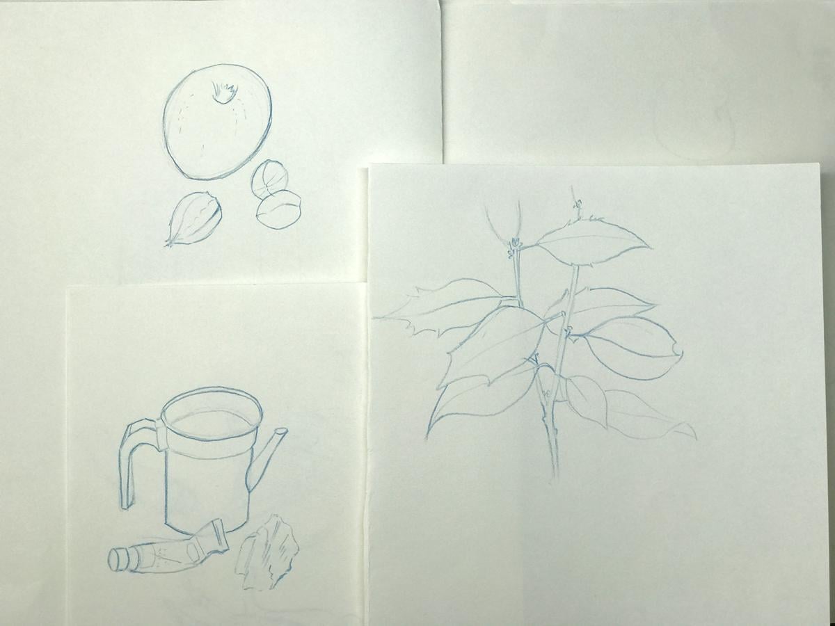 Sketching nature exercises + demos - image 6 - student project