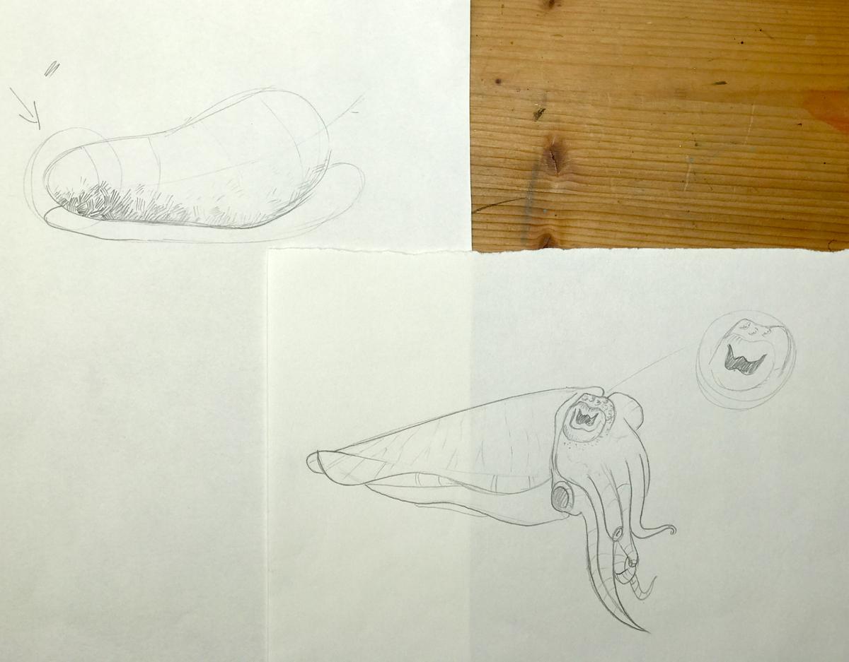 Sketching nature exercises + demos - image 16 - student project