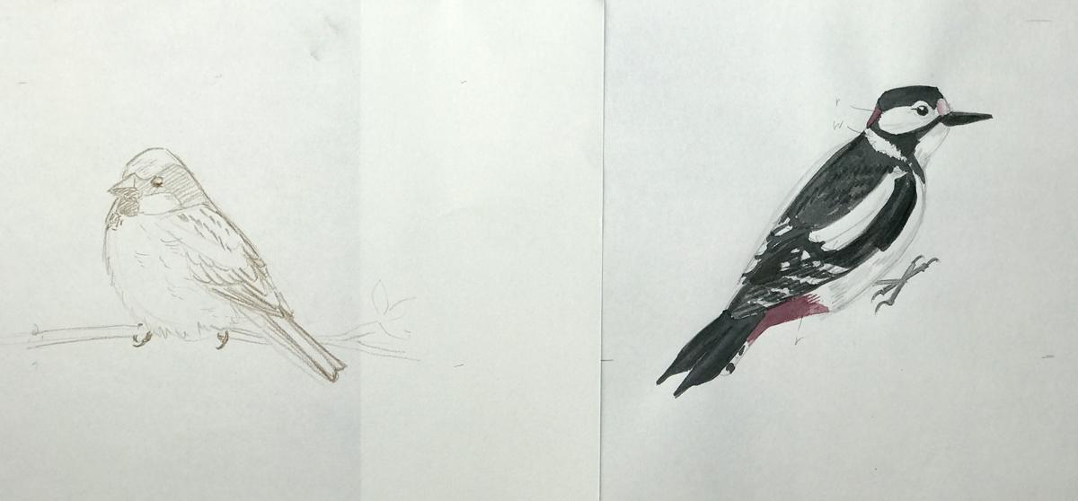 Sketching nature exercises + demos - image 24 - student project