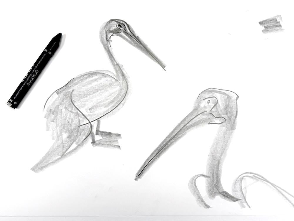 Loose shapes with graphite sticks - image 2 - student project