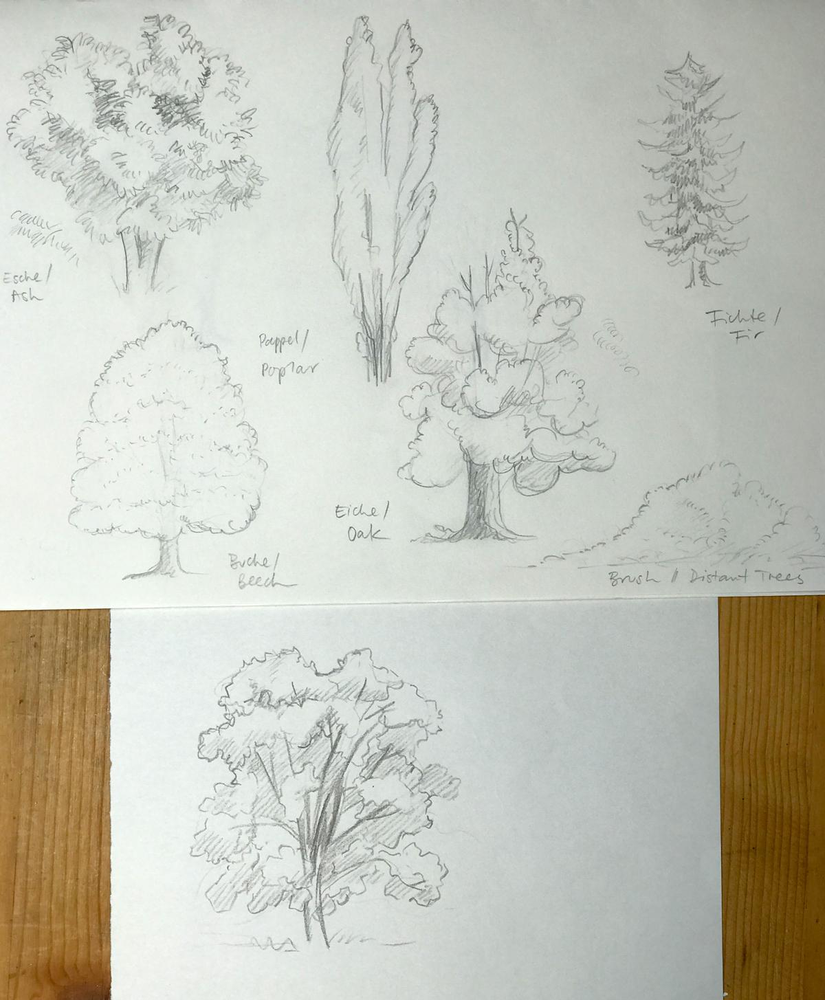 Sketching nature exercises + demos - image 20 - student project