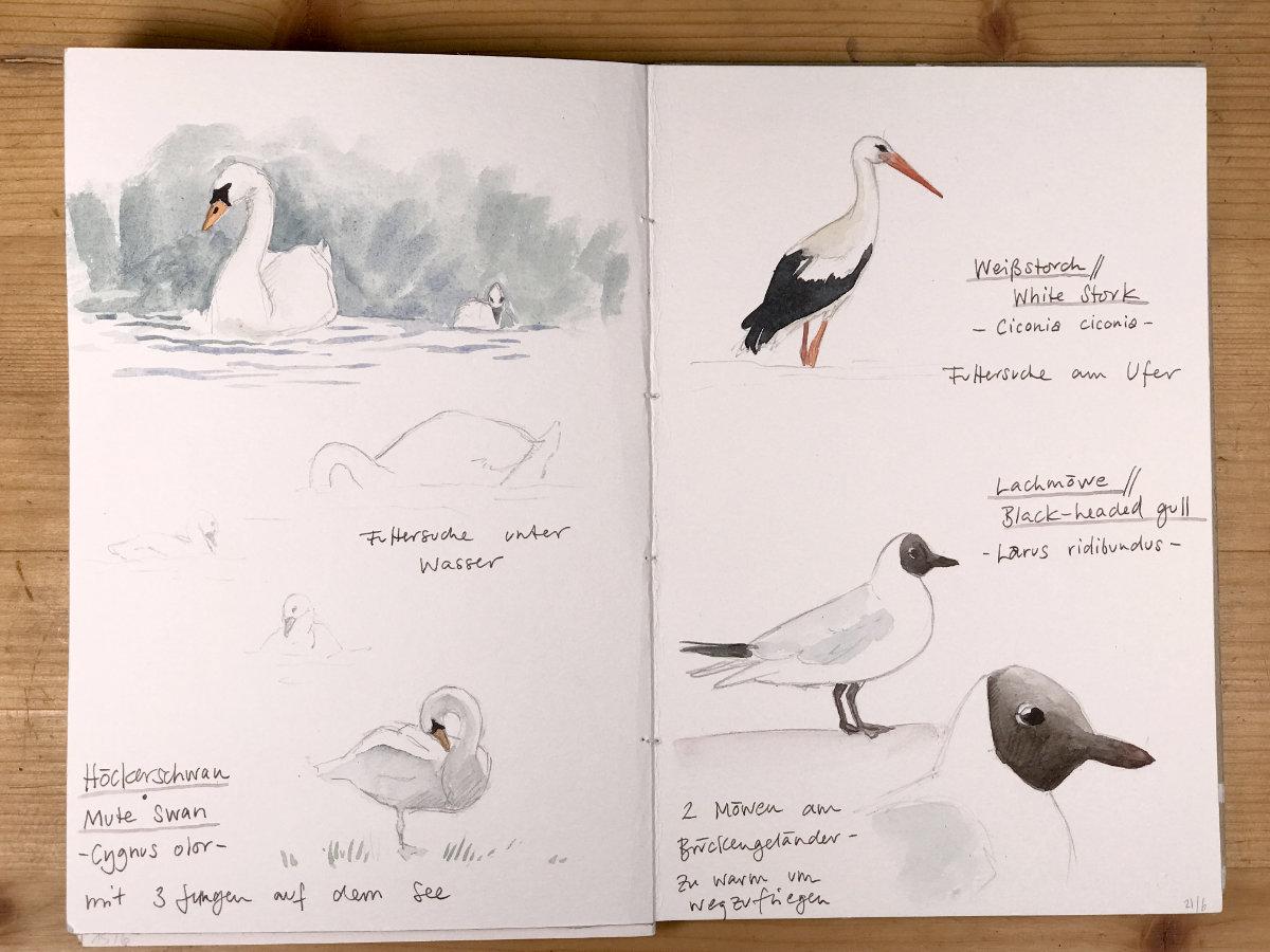 Sketching nature in summer - image 6 - student project
