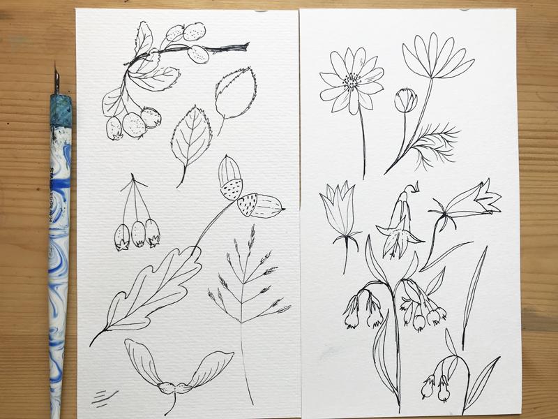 Leaves and flowers in ink & gouache - image 2 - student project