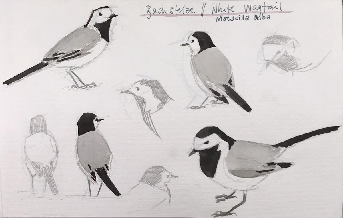 Nature Sketching Compositions - image 3 - student project